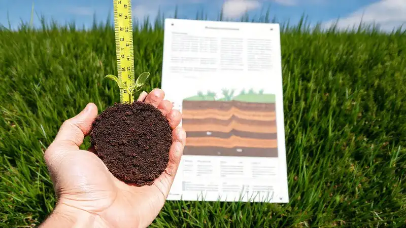 La mano analiza el suelo educativo